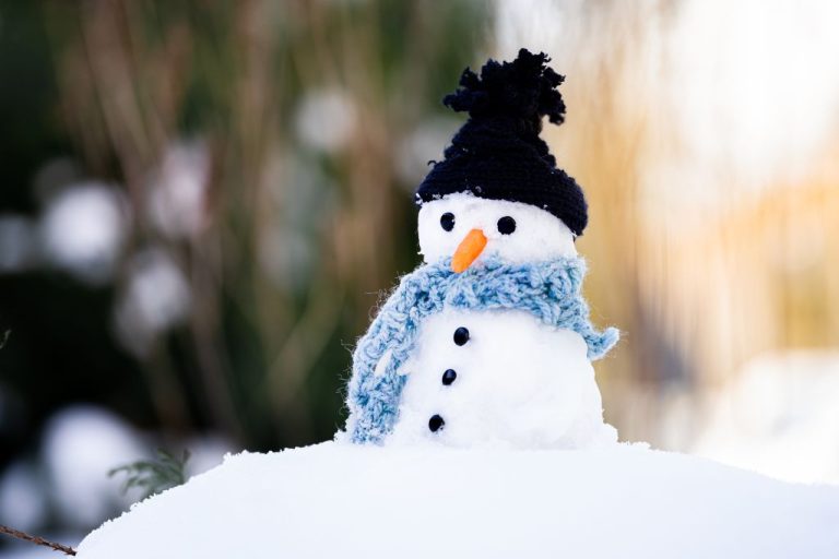 Top 150 Winter-Inspired Snowman Names: Uncover Unique Choices
