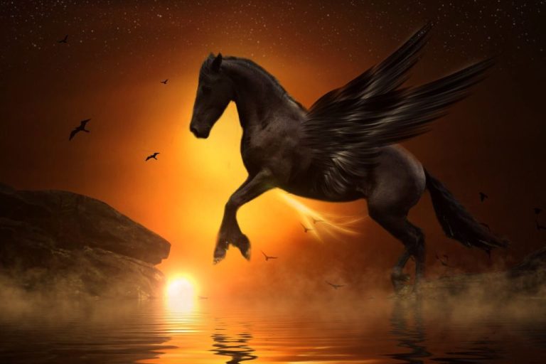 Pegasus Names: 65 Famous & Cute Choices for Your Mystical Pet